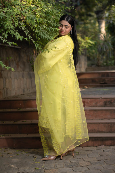 Women's Plus Size Lime Green Kurta With Lace Work